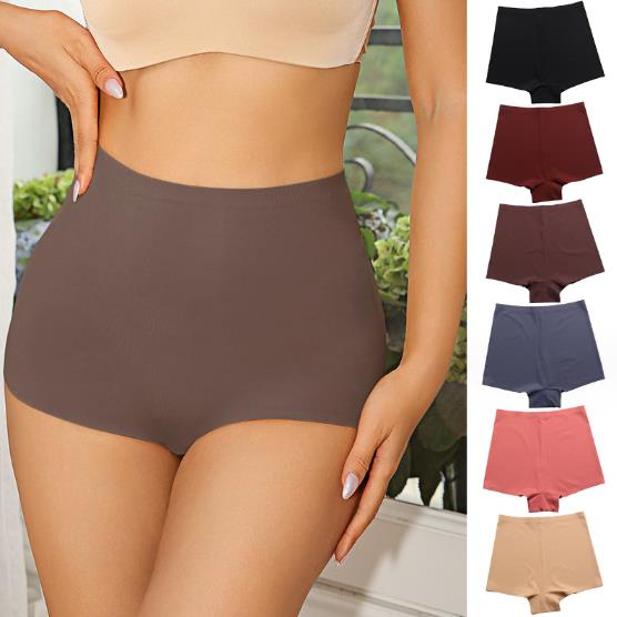 One-piece Seamless Ice Silk Underwear Boy Shorts Panties for Women The Comfort Theory