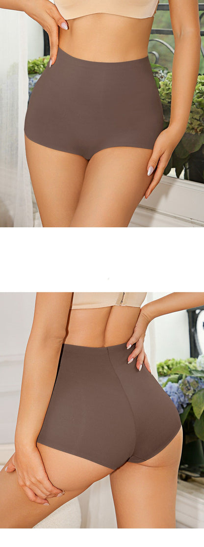 One-piece Seamless Ice Silk Underwear Boy Shorts Panties for Women The Comfort Theory