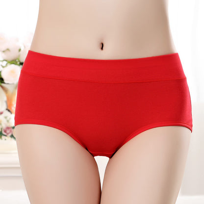 TCT Cotton Soft Panties - Set of 3 The Comfort Theory